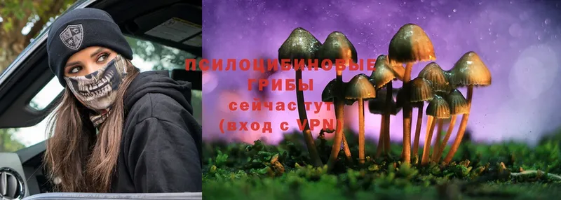 Галлюциногенные грибы Cubensis  Верхняя Салда 